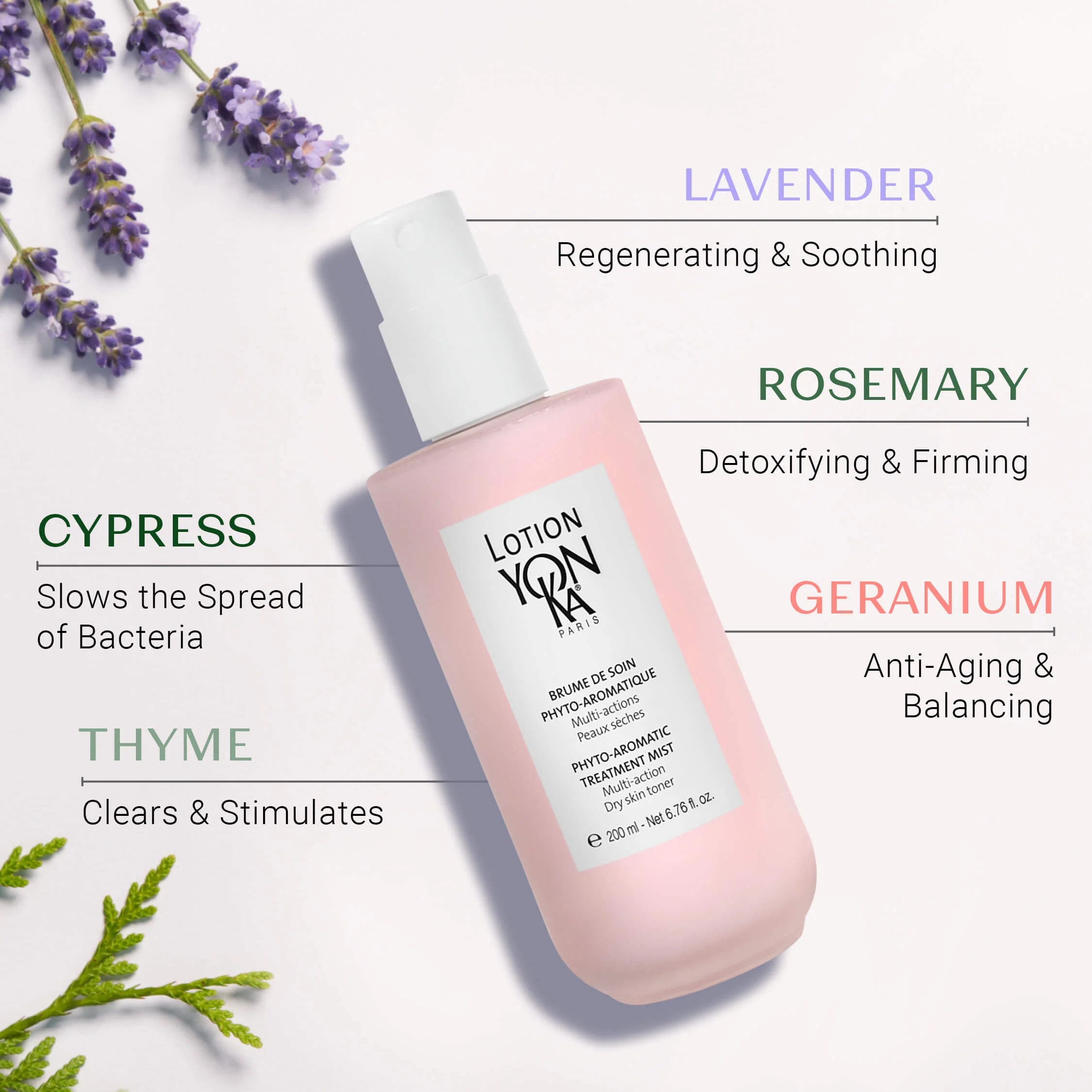 Lotion Yon-Ka Dry skin - Image 8