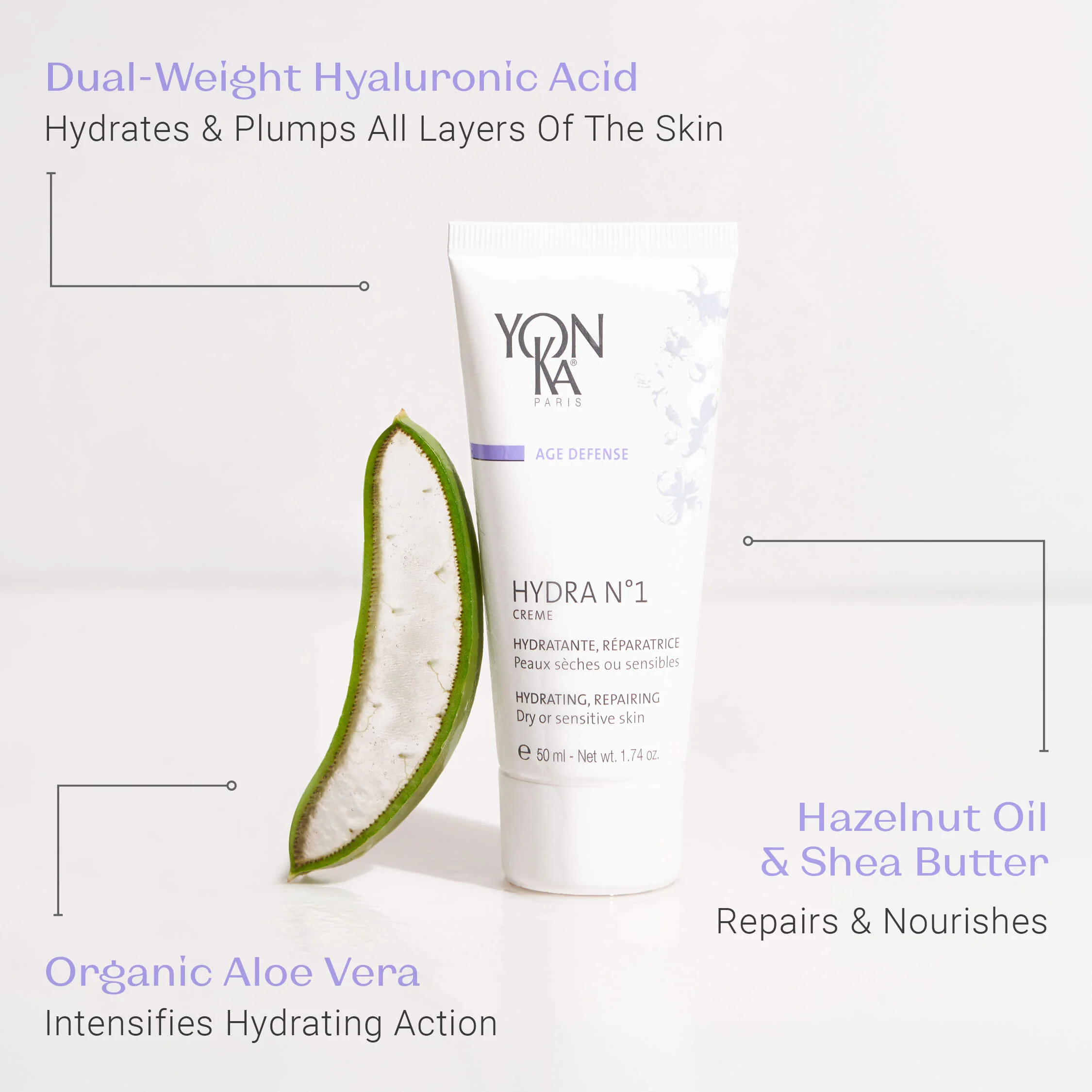 Hydra n°1 Crème - Image 5